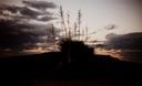 di_CGP_4903