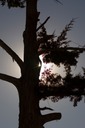 di_EYE1